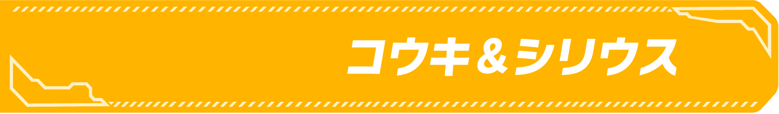 ヒーロー名